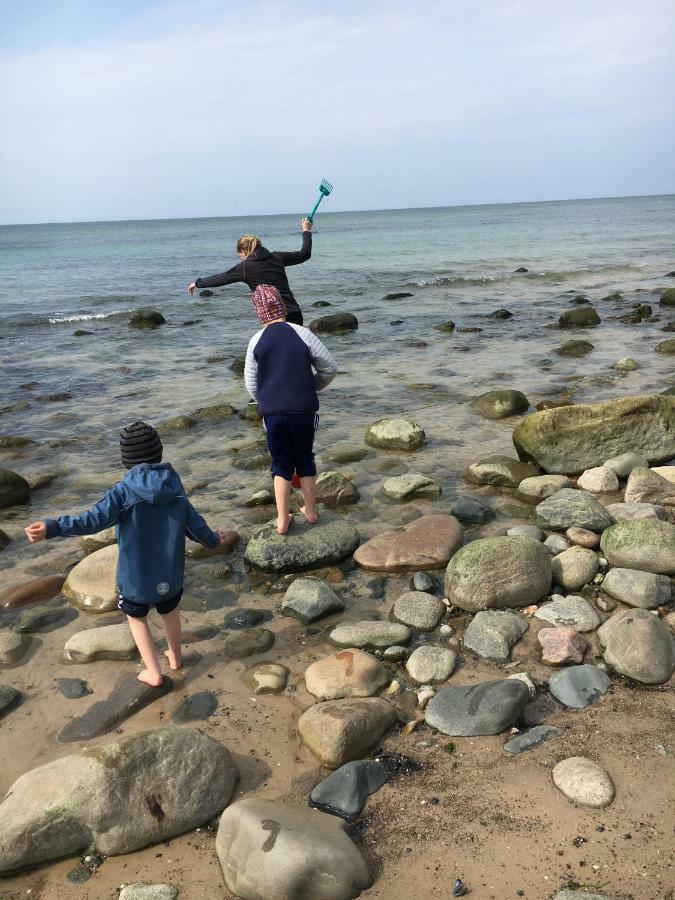 Hirtshals Camping المظهر الخارجي الصورة